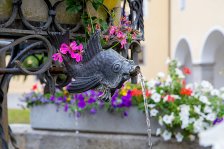 01.07.2023 Bierwallfahrt Stift Schlägl